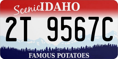ID license plate 2T9567C