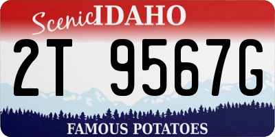 ID license plate 2T9567G