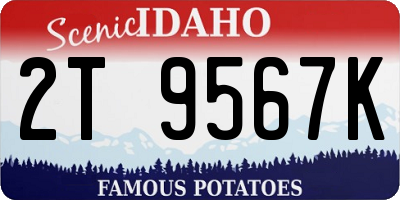 ID license plate 2T9567K
