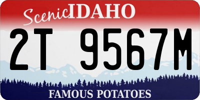 ID license plate 2T9567M