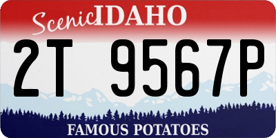 ID license plate 2T9567P
