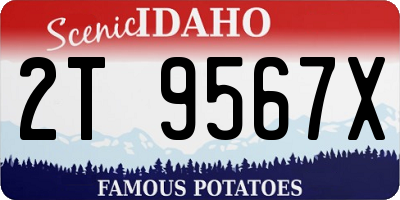 ID license plate 2T9567X