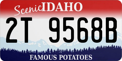 ID license plate 2T9568B