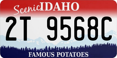 ID license plate 2T9568C