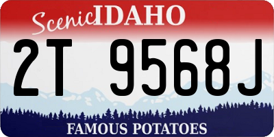 ID license plate 2T9568J