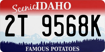 ID license plate 2T9568K