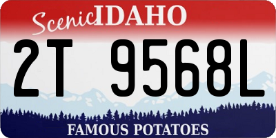 ID license plate 2T9568L