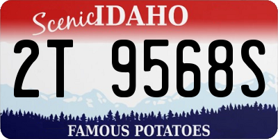 ID license plate 2T9568S