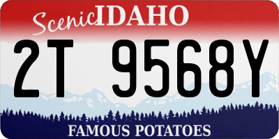 ID license plate 2T9568Y