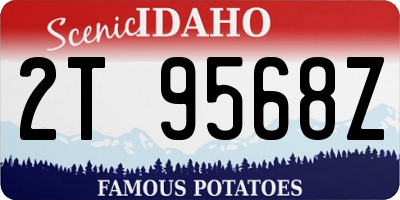 ID license plate 2T9568Z
