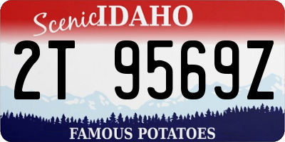 ID license plate 2T9569Z