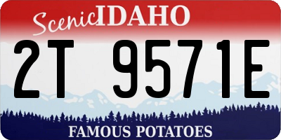 ID license plate 2T9571E