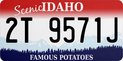 ID license plate 2T9571J