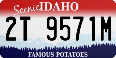 ID license plate 2T9571M
