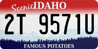 ID license plate 2T9571U