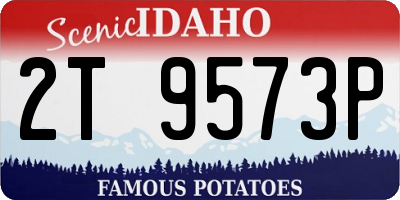ID license plate 2T9573P