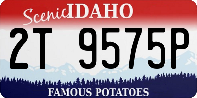 ID license plate 2T9575P