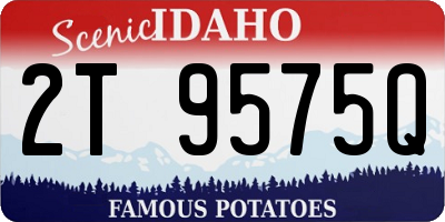 ID license plate 2T9575Q