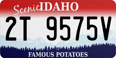 ID license plate 2T9575V
