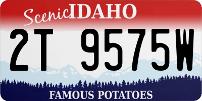 ID license plate 2T9575W