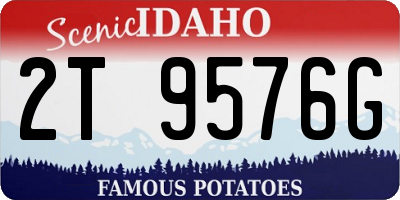 ID license plate 2T9576G