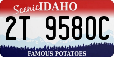 ID license plate 2T9580C