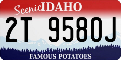 ID license plate 2T9580J