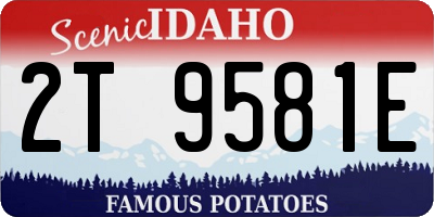 ID license plate 2T9581E