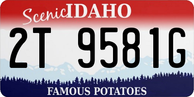 ID license plate 2T9581G