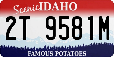 ID license plate 2T9581M