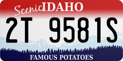 ID license plate 2T9581S