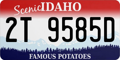 ID license plate 2T9585D