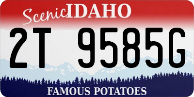 ID license plate 2T9585G