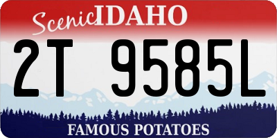 ID license plate 2T9585L