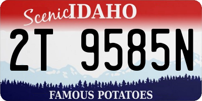 ID license plate 2T9585N