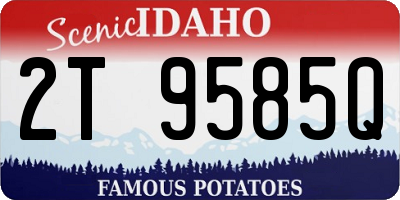 ID license plate 2T9585Q