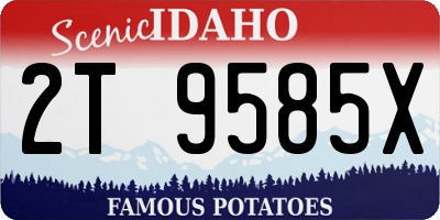 ID license plate 2T9585X
