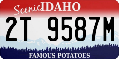 ID license plate 2T9587M