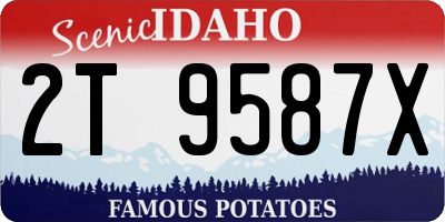 ID license plate 2T9587X