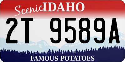 ID license plate 2T9589A