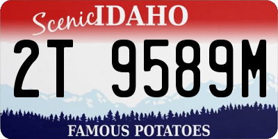ID license plate 2T9589M