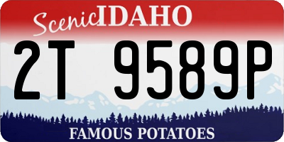 ID license plate 2T9589P