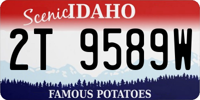 ID license plate 2T9589W
