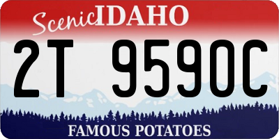 ID license plate 2T9590C