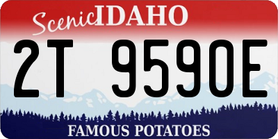 ID license plate 2T9590E