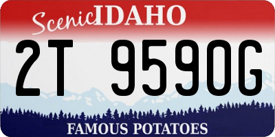 ID license plate 2T9590G