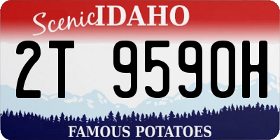 ID license plate 2T9590H