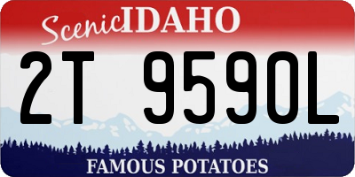 ID license plate 2T9590L