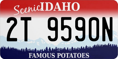 ID license plate 2T9590N