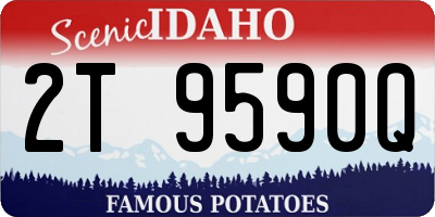 ID license plate 2T9590Q